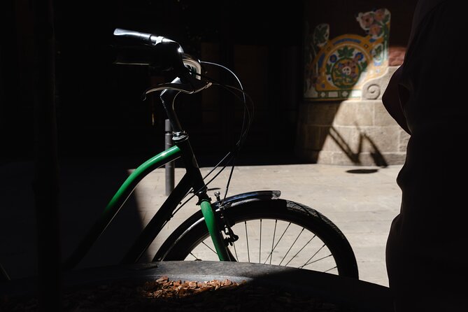 3-Hour Private Gaudi Bike Tour - What the guide adds to the experience
