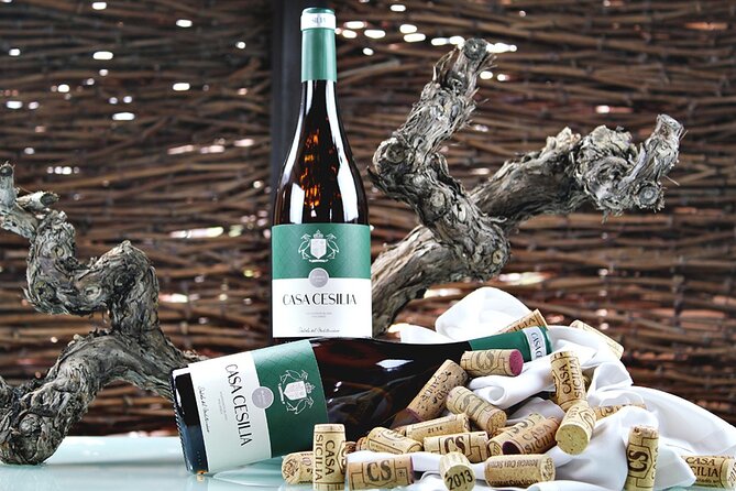 Alicante: Old Winery with Tastings & Gaudí's style of Church - Why this makes a good half-day from Alicante