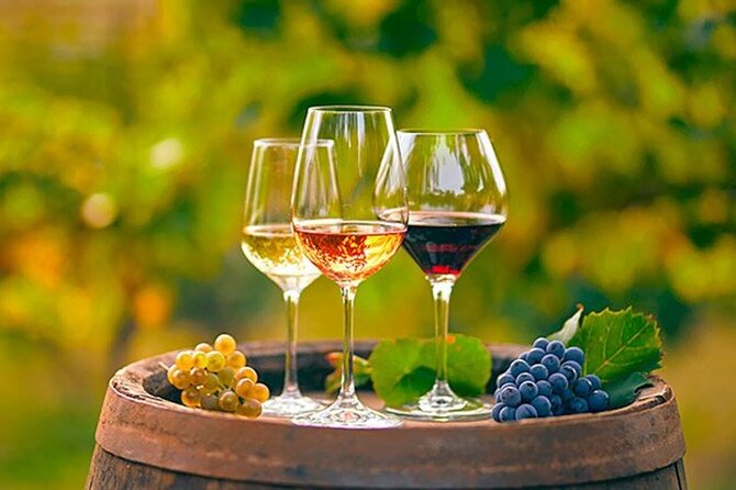 Alicante: Old Winery with Tastings & Gaudí's style of Church - The guide can shape the whole outing
