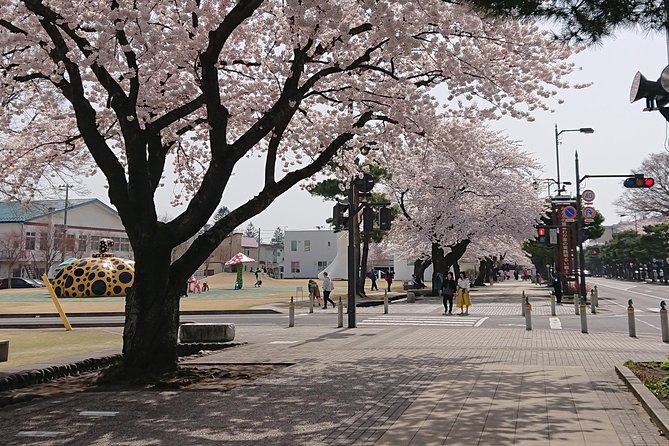 [Aomori Prefecture] Tour the history and architecture in Towada City, the art city - What makes this Towada walk worth your time