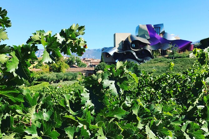 Architectural Rioja Small Group Wine Tour with Lunch from Bilbao - What the small group changes