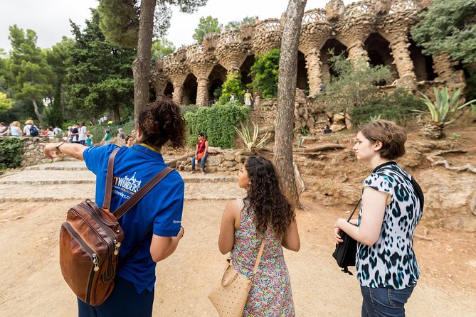 Barcelona: Skip-the-Line Gaudi's Park Guell Guided Tour - Starting at Ctra. del Carmel, 23