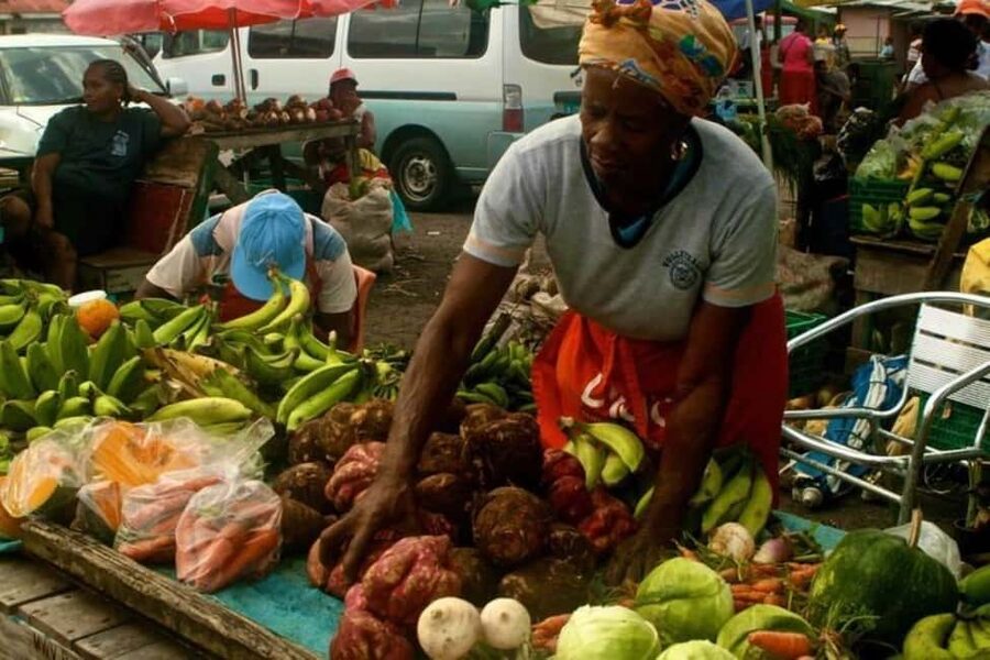 Castries: Guided City Architecture and Castries Market Tour - Castries Central Market and Vendors Arcade