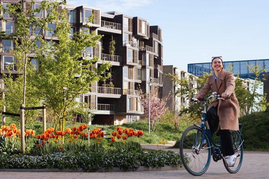 Copenhagen: Guided Architecture and Sustainability Tour - Key points at a glance