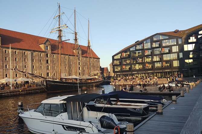 Copenhagen: Harbor Architecture Private Walking Tour - Operaen and Papiroen add the modern city story