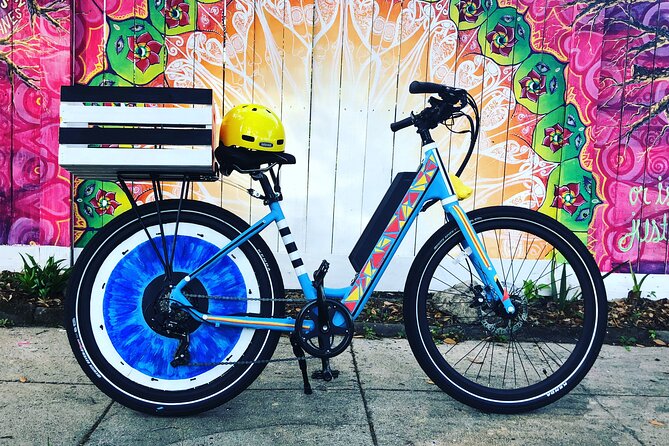 Electric Bike Art and Architecture Guided Tour in Jacksonville - Meeting Ron on St. Johns Avenue