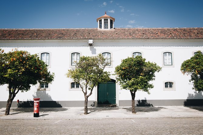 Faro Private Walking Tour: Uncovering its Architectural Legacy - Should you book the Faro private walk?