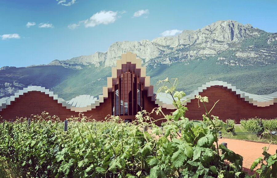 From Bilbao: Rioja Architecture and Wine Tour - Marina and the value of a strong guide