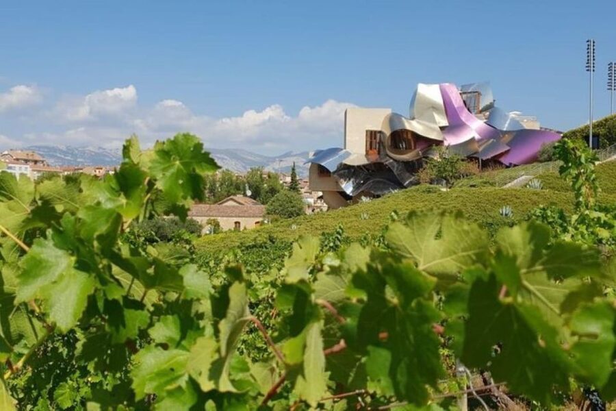 From Bilbao: Rioja Architecture and Wine Tour - Marques de Riscal, where Gehry meets Rioja