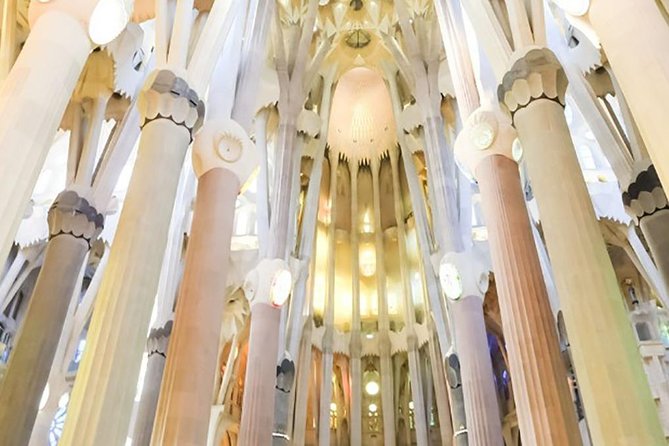 Gaudí Essential : Sagrada Familia Guided Tour - Clothing, age limits, and practical restrictions