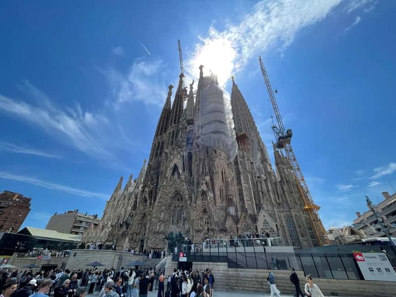 Guided Tour of Sagrada Familia - Gaudi's dream - Inside the basilica’s stone forest