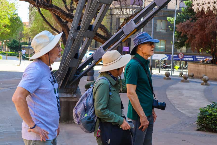Johannesburg: Architectural Walking Tour - Starting at 100 Carr Street and the Market Theatre