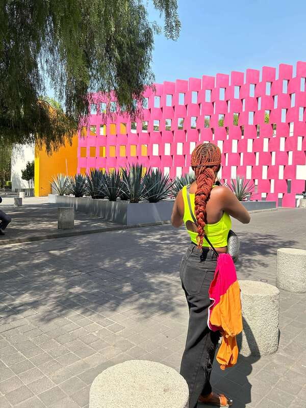 Mexico City: 1960s &1970s Mexican Architecture Walking Tour - Key points to know before booking