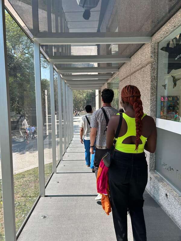 Mexico City: 1960s &1970s Mexican Architecture Walking Tour - How the guides shape the experience