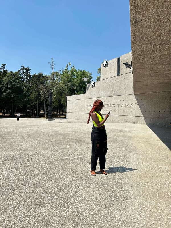 Mexico City: 1960s &1970s Mexican Architecture Walking Tour - Is $192 fair for three hours?