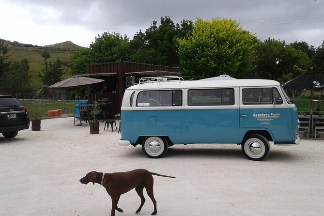Napier and Hawkes Bay Scenic and Art Deco Tour by VW Kombi - Why the Kombi changes the feel of the tour
