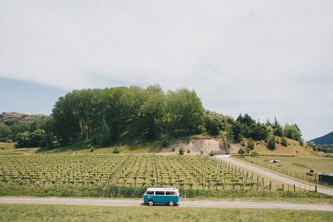 Napier and Hawkes Bay Scenic and Art Deco Tour by VW Kombi - Fresh fruit and real fruit ice cream