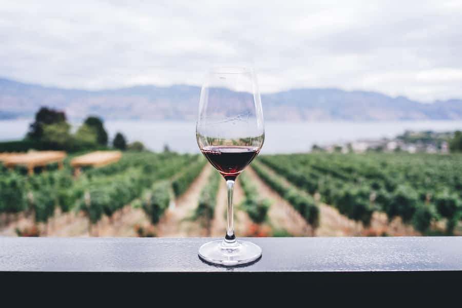 Napier: Art Deco Bike Ride and Wineries Loop - Starting in Ahuriri, where port paths meet bird trails