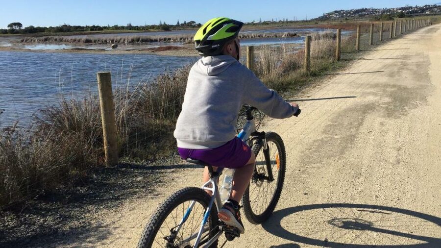 Napier: Art Deco Bike Ride and Wineries Loop - The Tutaekuri River route and Taradale wineries