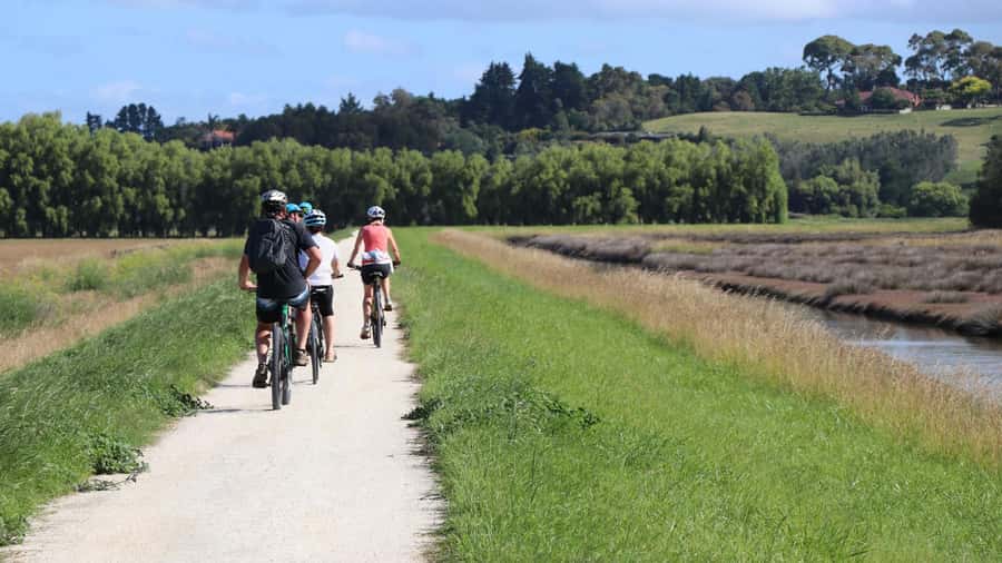 Napier: Art Deco Bike Ride and Wineries Loop - Napier’s Art Deco center deserves a proper stop