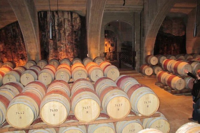 Napier Shore Excursion: Wine & Art Deco Tour - Key points to know before booking