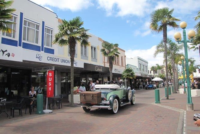 Napier Shore Excursion: Wine & Art Deco Tour - A useful start from the Port of Napier