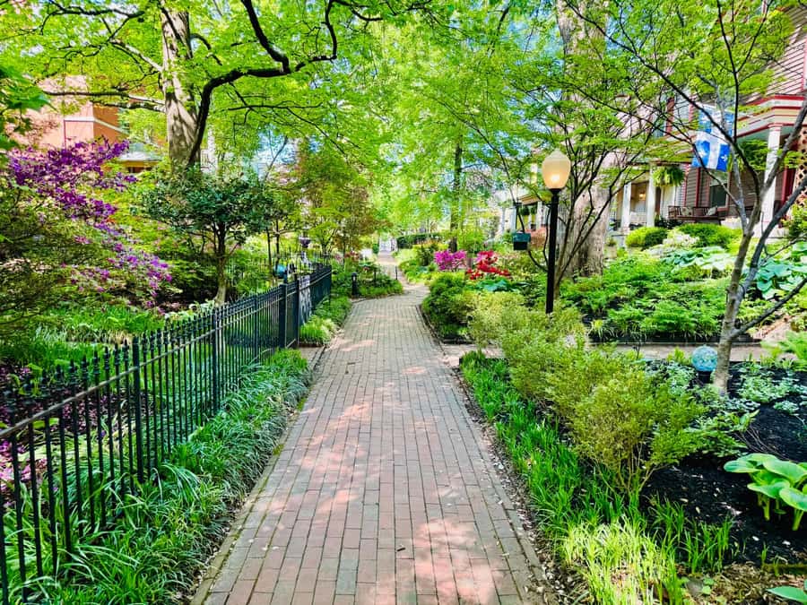 Old Louisville: History and Architecture Walking Tour - Grand residences and the people behind them
