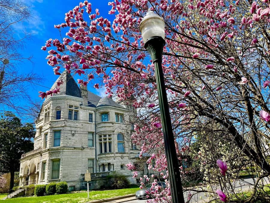 Old Louisville: History and Architecture Walking Tour - Who should book this walk?