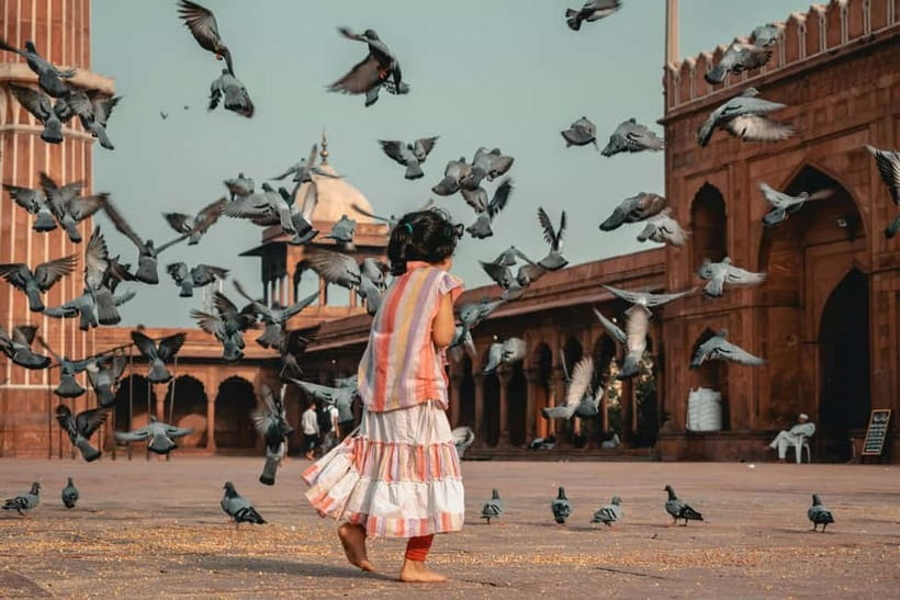 Old & New Delhi Culture & Architecture City Private Tour - Humayun’s Tomb connects Delhi with the Taj Mahal story