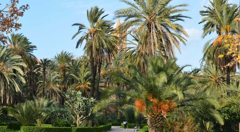 Palermo: Art and Architecture Walking Tour - Cappella Palatina and the Arab-Norman story