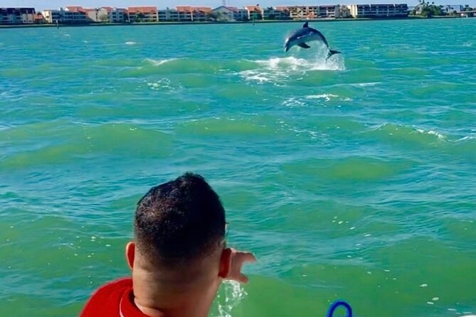 Private Dolphin & Architecture Tour in St. Petersburg, Fl - Pelicans, blue herons, and other coastal birds