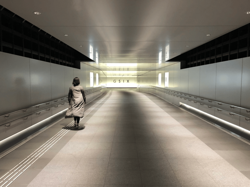 Private Ginza Architecture Tour - The Metabolism movement and new ideas for Tokyo