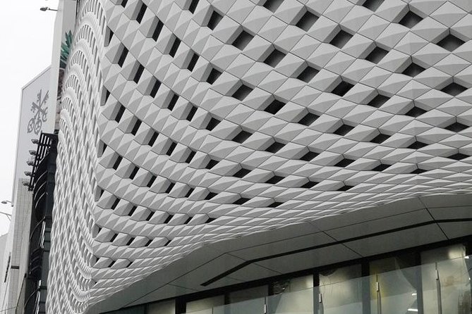 Private Ginza Architecture Walking Tour - Maison Hermès and Ginza’s polished modern face