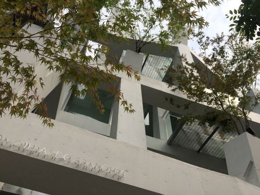 Private Harajuku Omotesando Architecture Tour - Why the big brands choose Omotesando