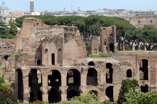 Private Personalized Architecture Tour of Rome with an Architect - The Colosseum: excellent context, unclear entry details