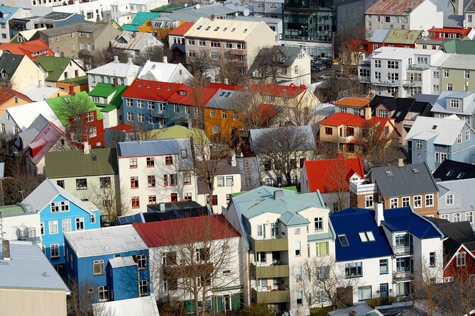 Private Reykjavik City and Architecture Walking Tour - What the private format really adds