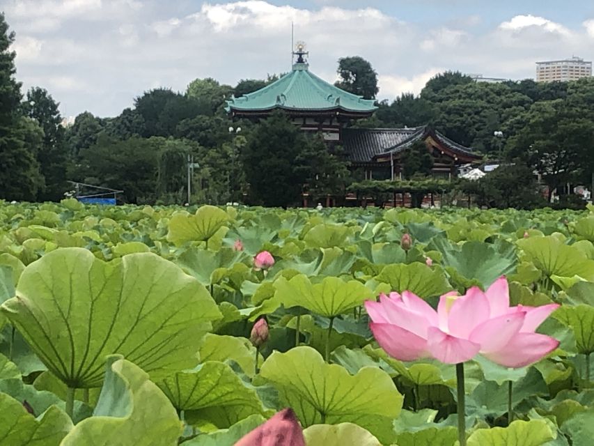Private Ueno Park Architecture Tour - What the private format adds