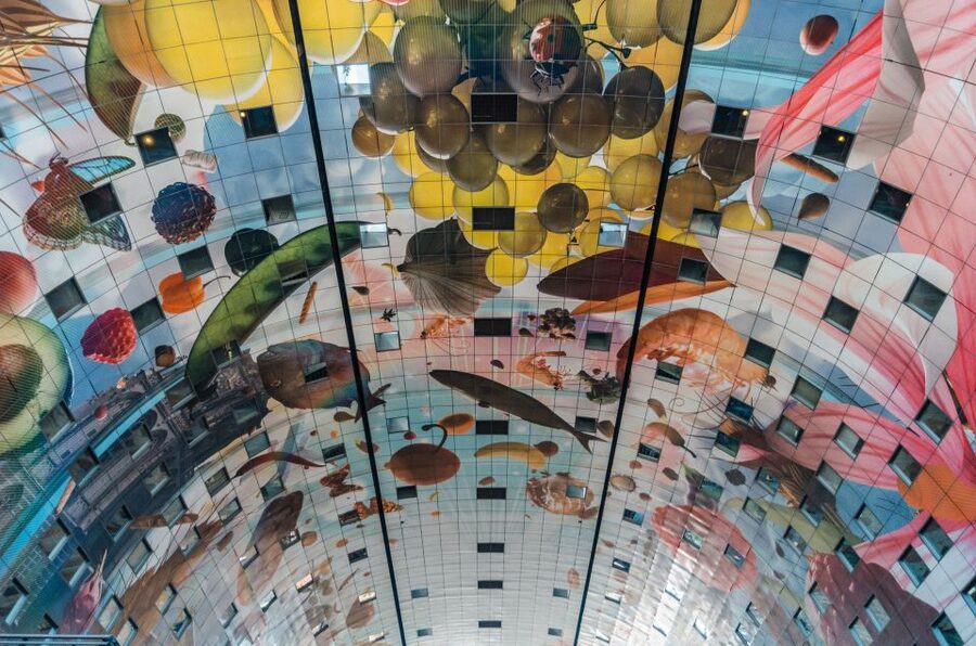 Rotterdam: Architectural Highlights Guided Walking Tour - Why an architect changes the way Rotterdam looks
