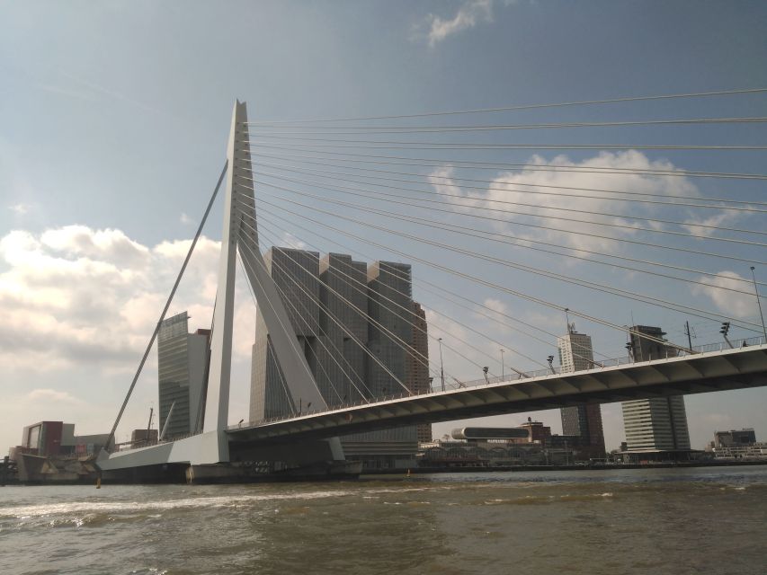 Rotterdam Architecture: Centre and South Bank with watertaxi - Key points to know before booking