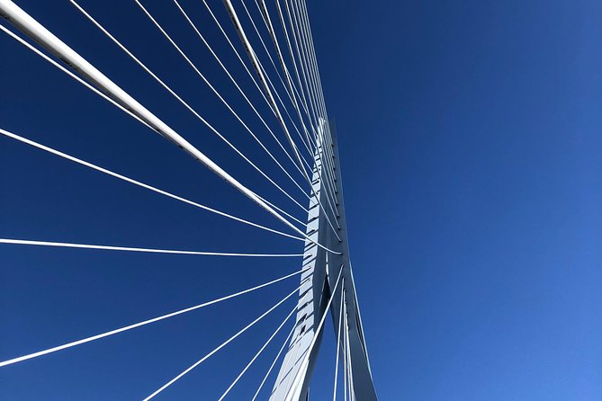 Rotterdam Architecture Highlights Walking Tour - Boompjeskade and the Maas finish