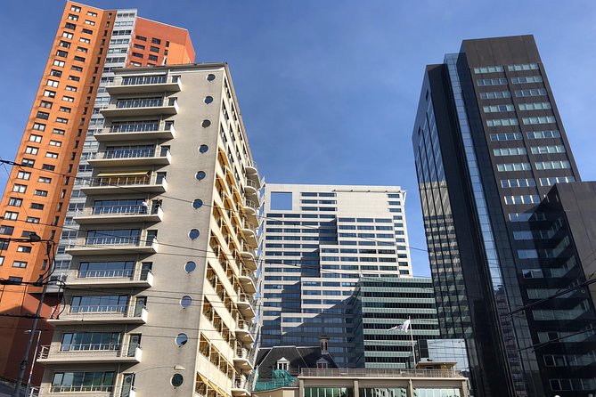 Rotterdam Architecture Highlights Walking Tour - What the architect guide adds
