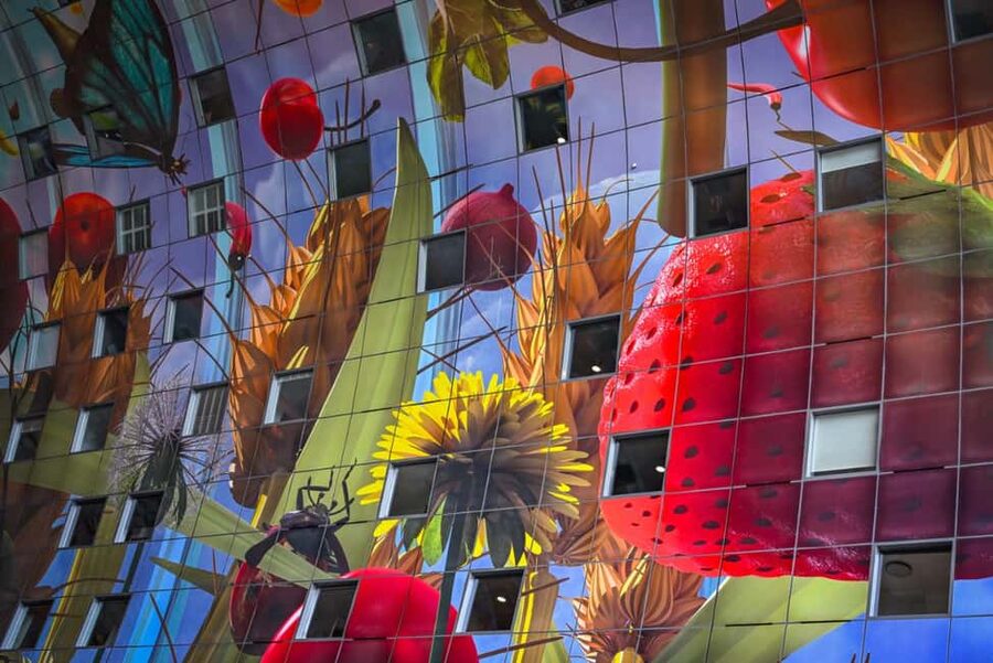 Rotterdam: Highlights, Gems, Architecture & History Walk - The Cube Houses and Overblaak