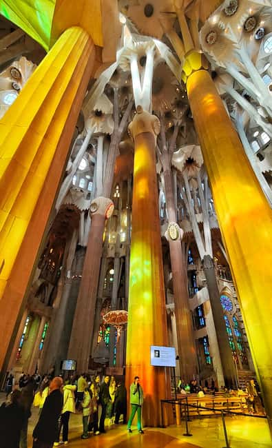 Sagrada Familia Private/Small Group Tour with an architect - Inside the basilica: a stone forest filled with color
