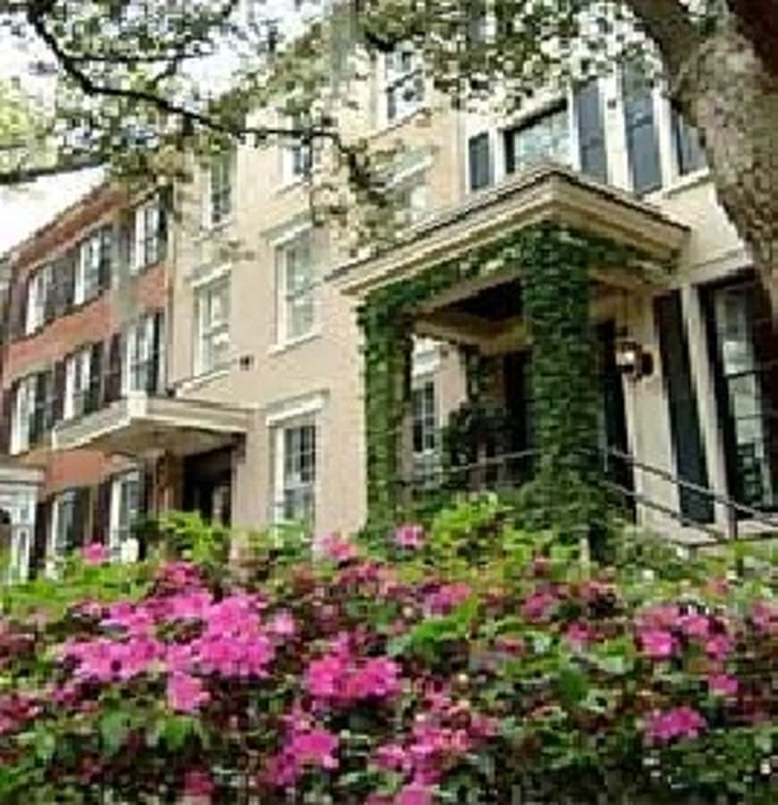 Savannah: History and Architecture Homes Walk - Warren Square and the opening view of Savannah