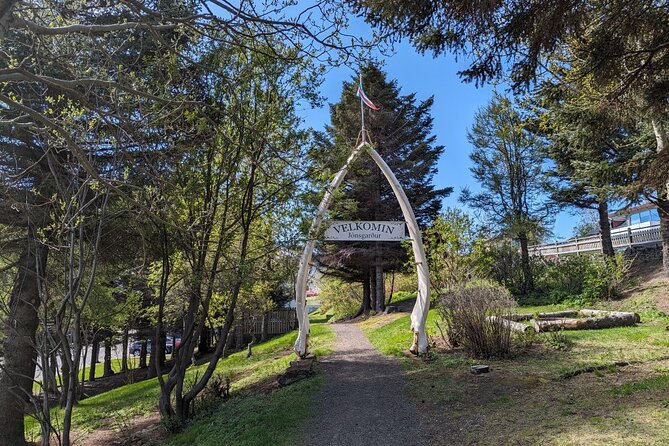 Self-Guided Tour of Ísafjörður: Art, History, and Architecture - Key points to know before you go
