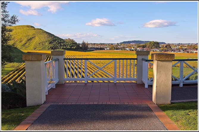 Shore Excursion: Napier/ Hawke's Bay & Premium Wineries tour - What to eat and drink during the day
