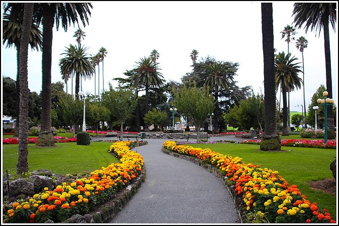 Shore excursion - Napier sight seeing/Art Deco Tour, - Key points at a glance