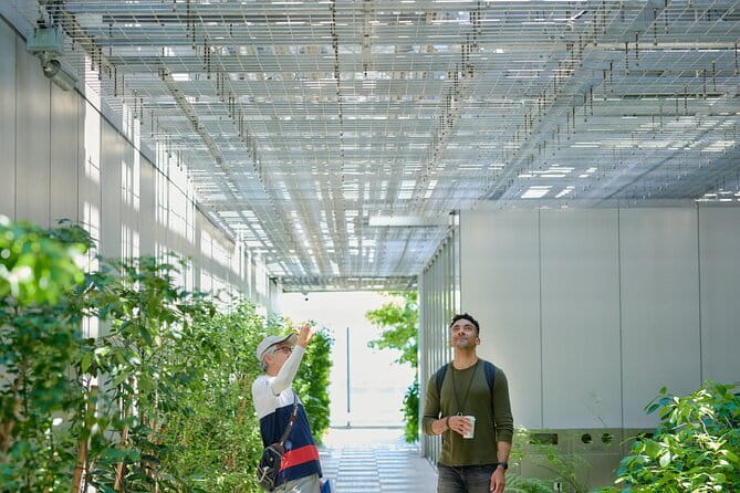 Small-Group Architecture Tour in Ginza, Tokyo - Key points about the Ginza architecture walk