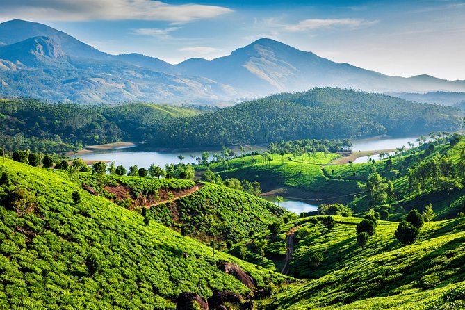 South India Tour- Temple Architecture and Backwaters - Thanjavur and the cultural heart of Tamil Nadu