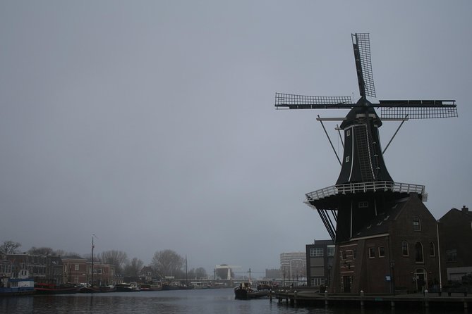 The rise of Haarlem: Culture, History, Art and Architecture Walking Tour - Walking conditions, timing, and group size